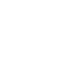 Logo AH